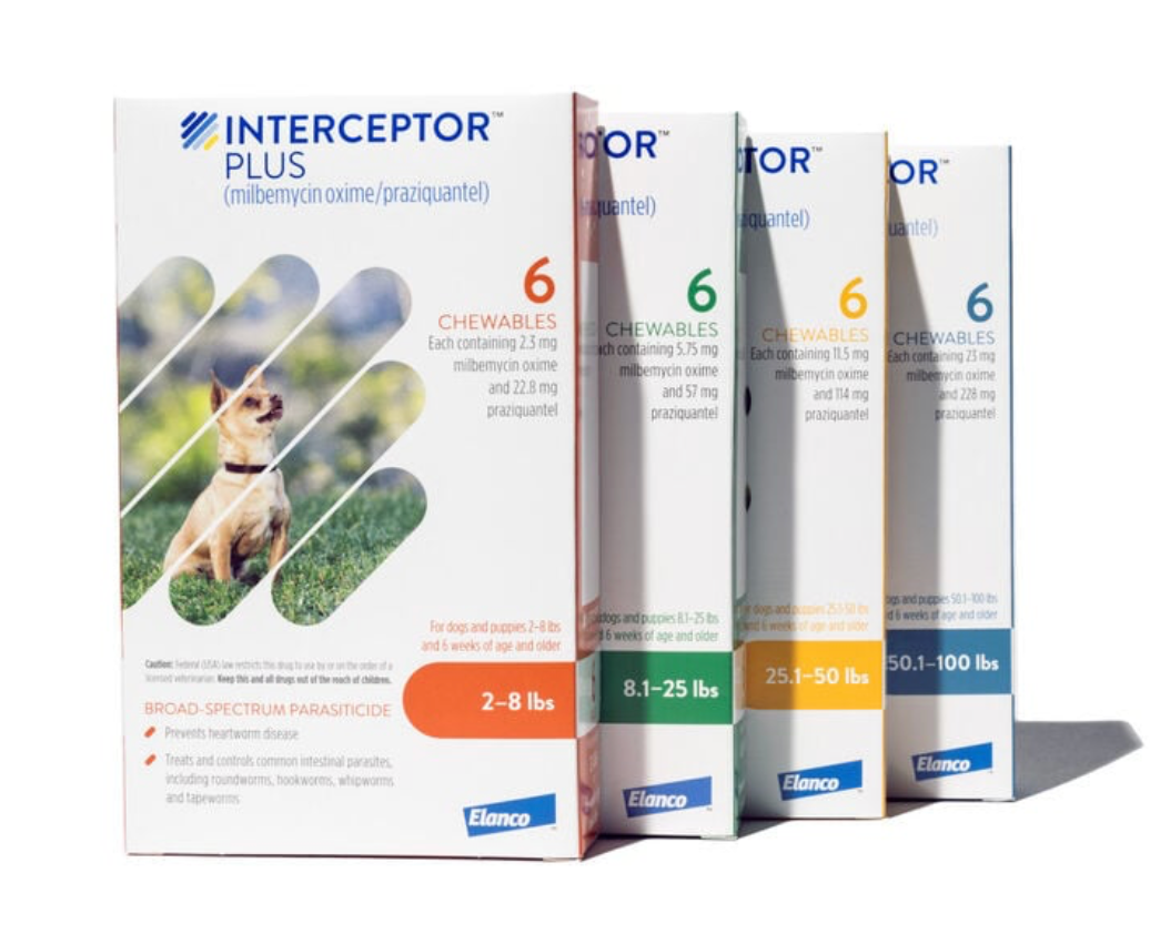 Interceptor Plus